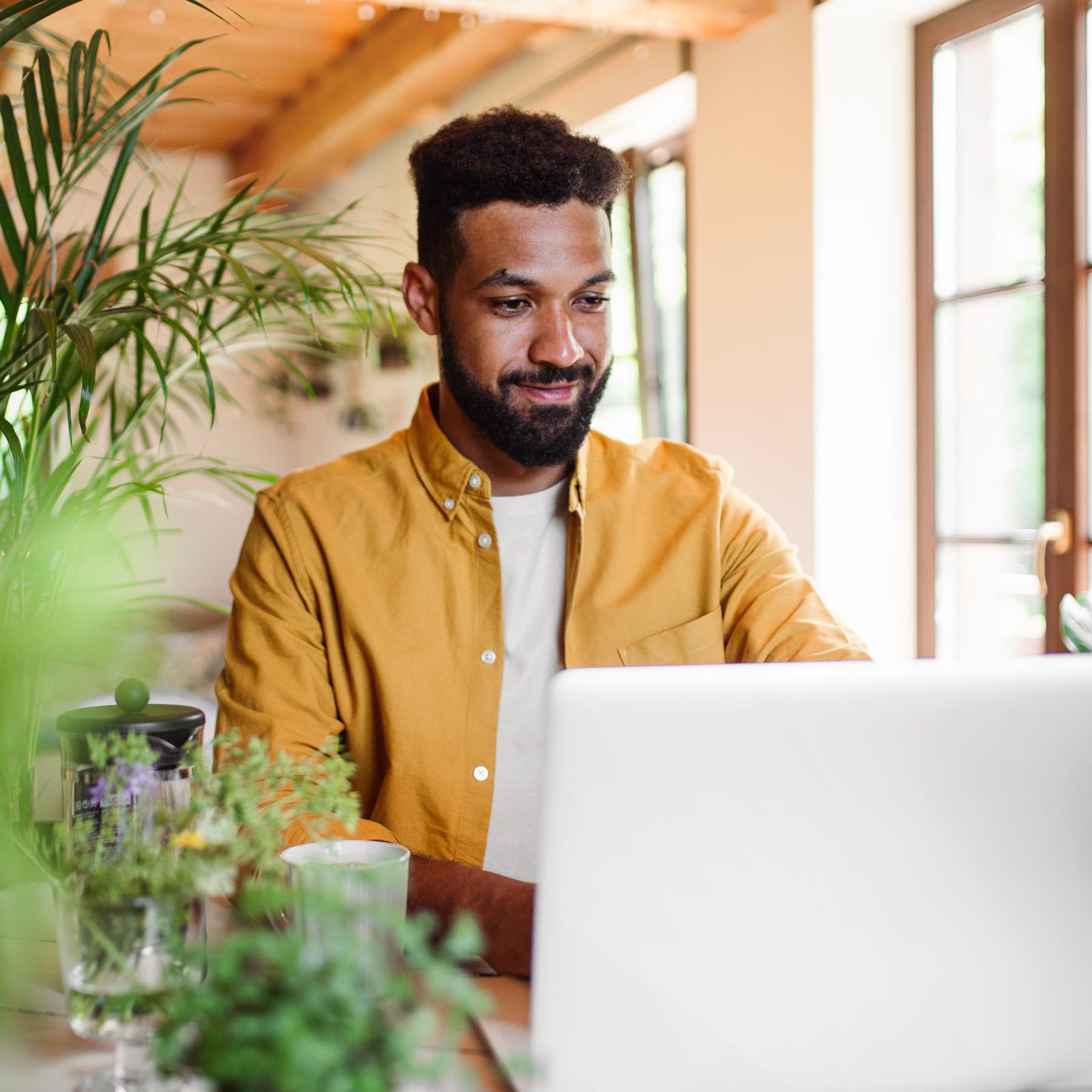 Male on laptop in sunny house