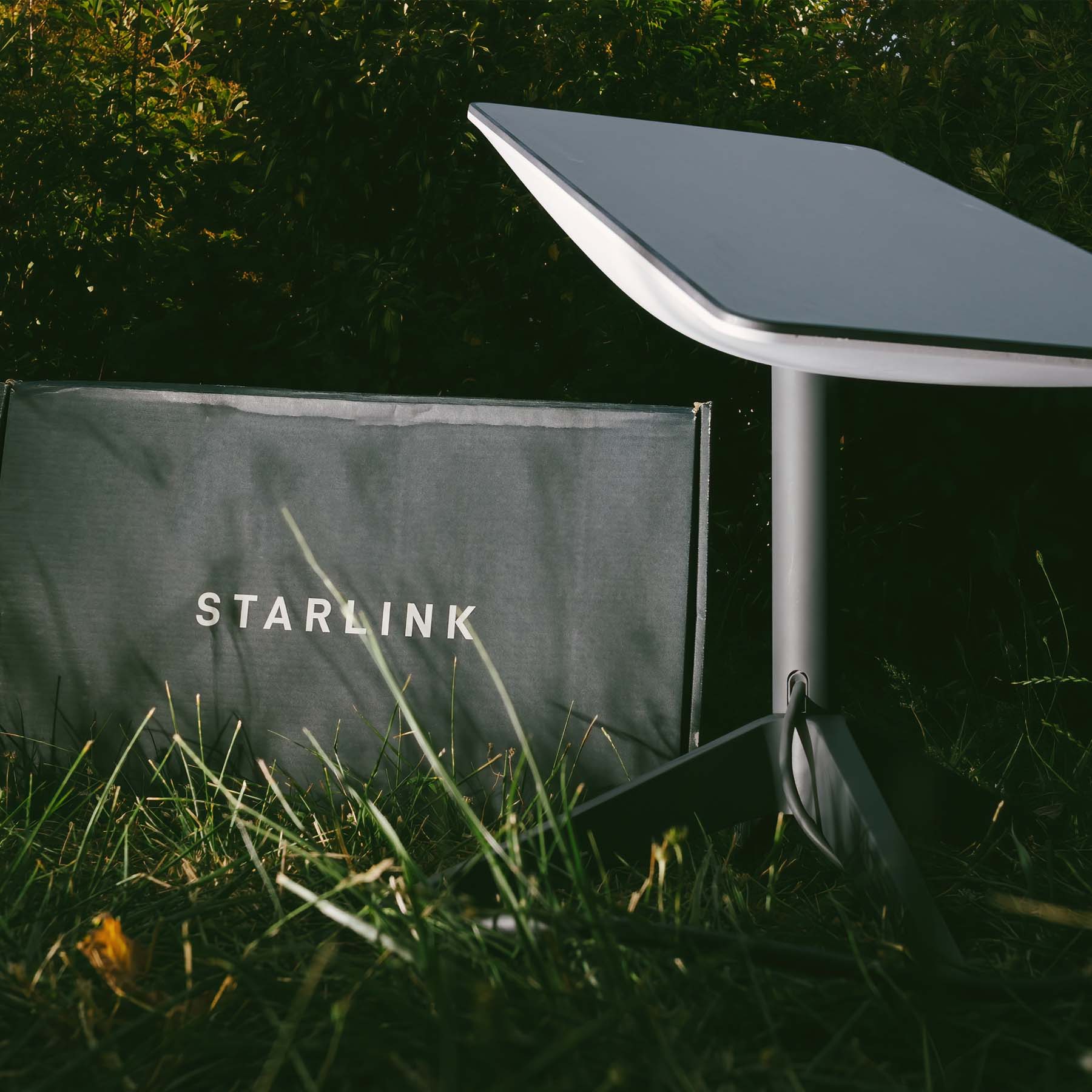 Starlink in a field example