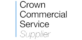 Crown Service Supplier Framework Logo