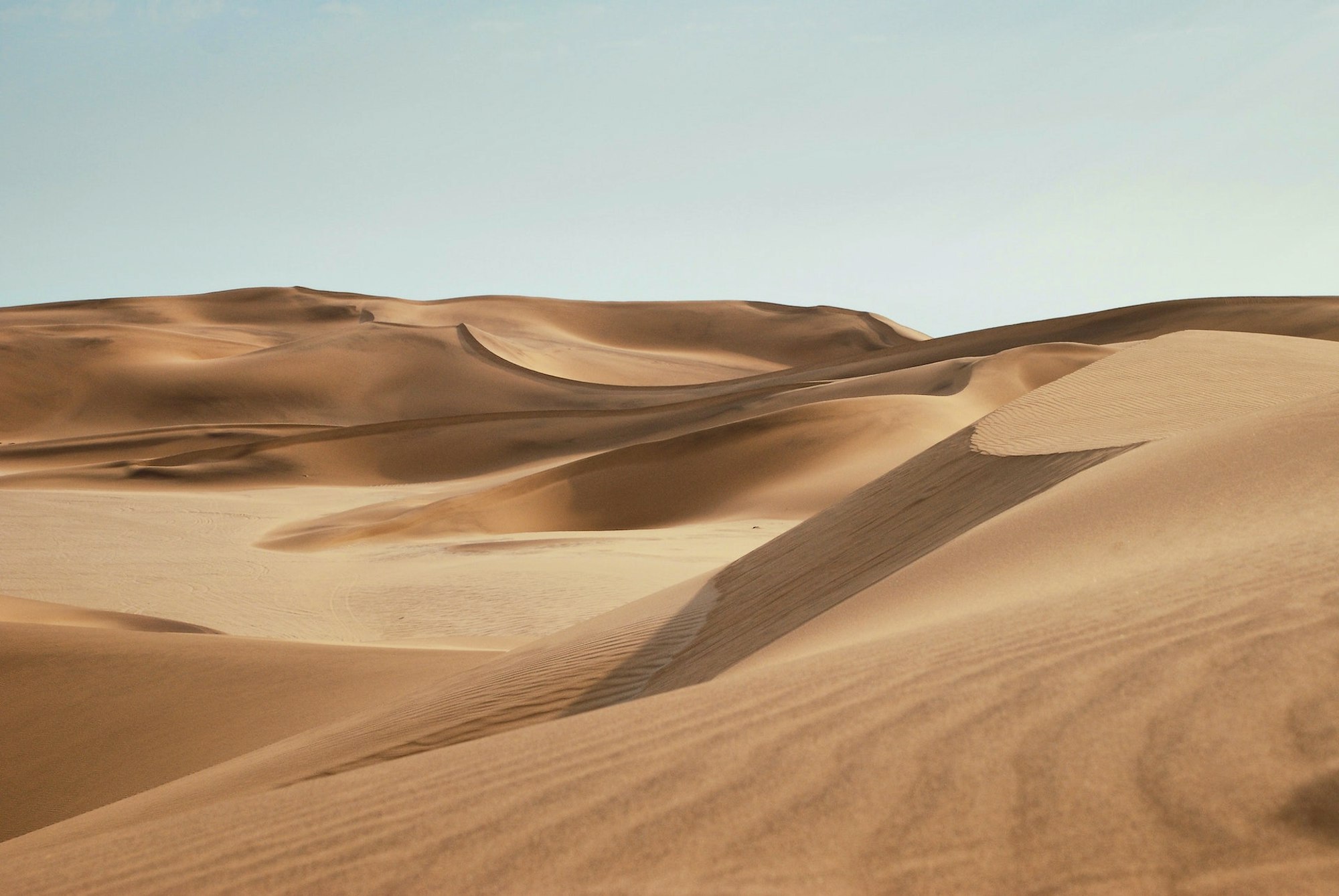 Desert Scene